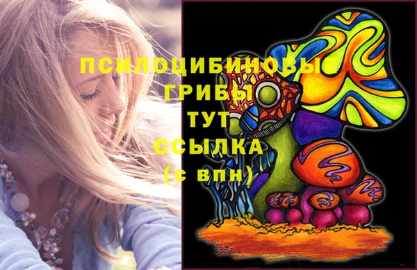 наркотики Белокуриха